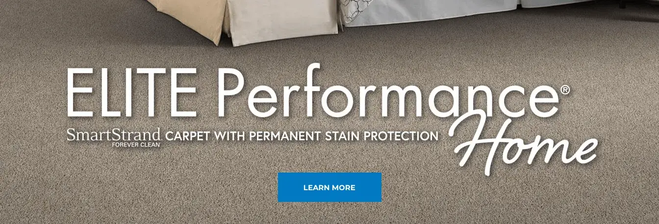 Elite Performance | COLORTILE of Salem