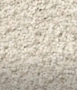 Carpet | COLORTILE of Salem