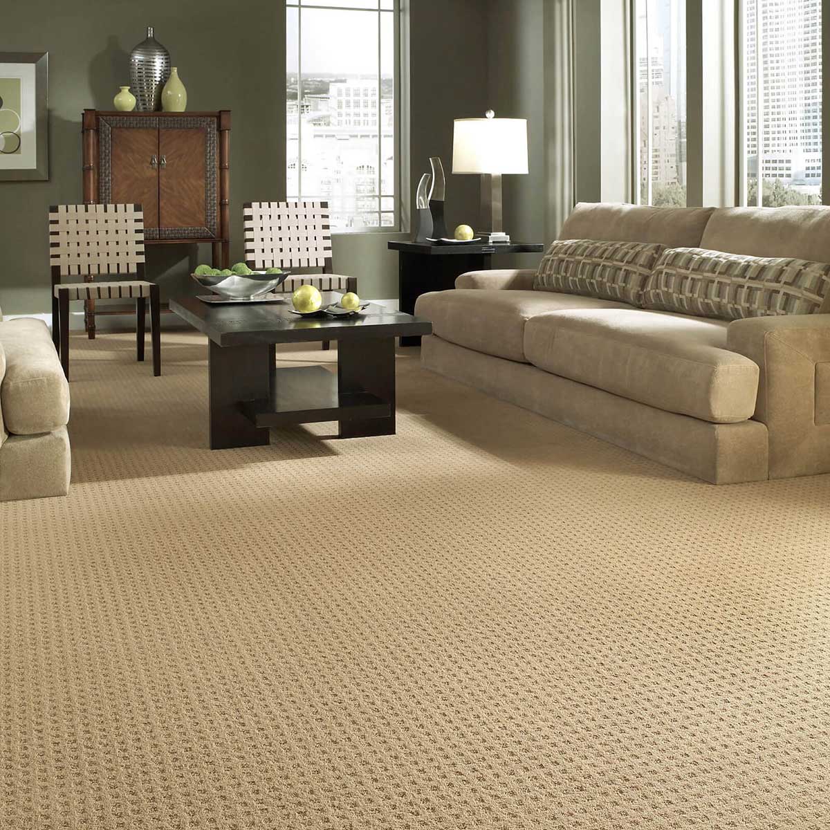 Living room Carpet | COLORTILE of Salem
