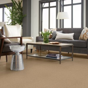 Living room Carpet flooring | COLORTILE of Salem