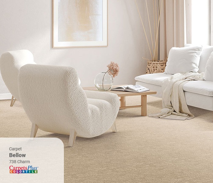 Living room Carpet flooring | COLORTILE of Salem