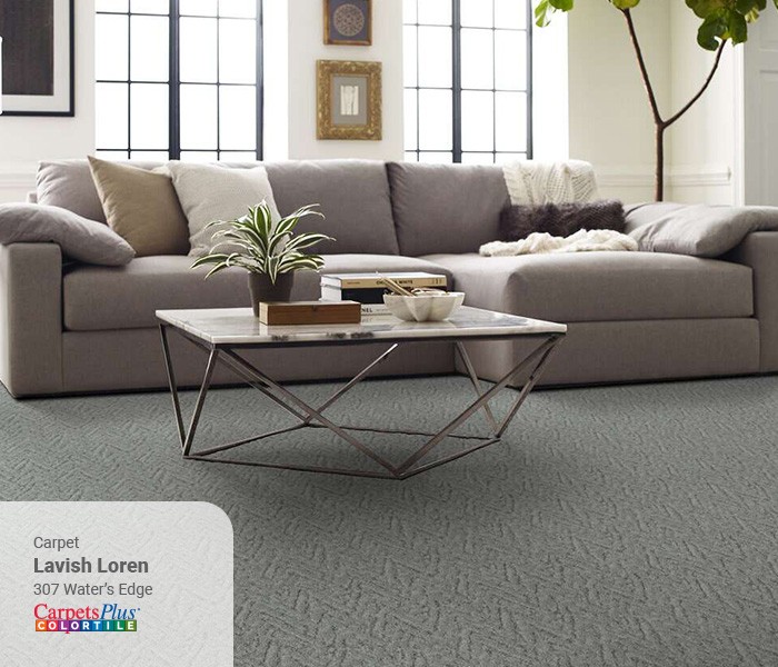 Living room carpet floor | COLORTILE of Salem