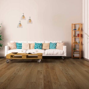Vinyl flooring for living room | COLORTILE of Salem